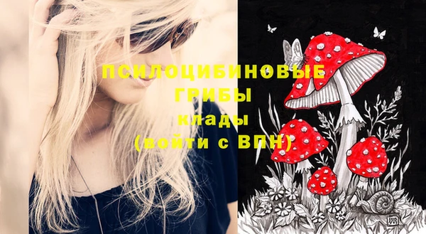 таблы Михайловск