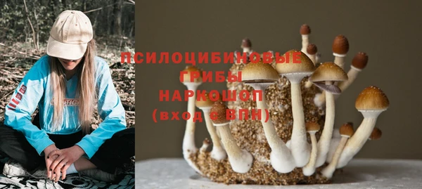 таблы Михайловск