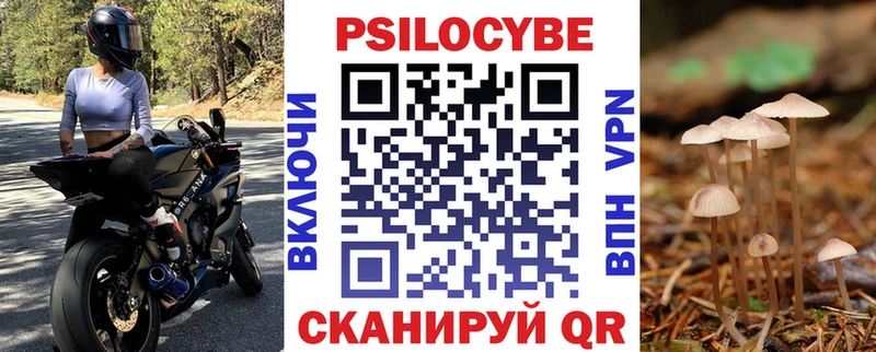 дарк нет какой сайт  Нижняя Тура  Псилоцибиновые грибы мицелий 
